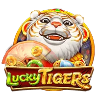 Live Casino Dealer